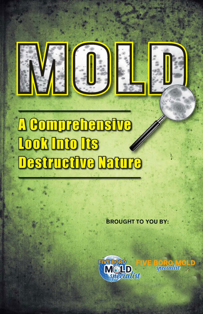 NYC mold removal brochure