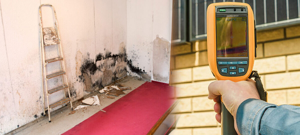 Indoor Air Quality Mold Test Kit: Why they are More Important than Ever?