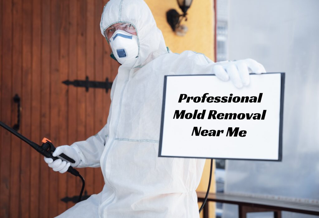 Professional Mold Remediation Near Me Services Major Advantages Five