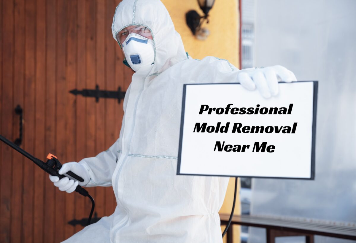 Professional Mold Remediation Near Me