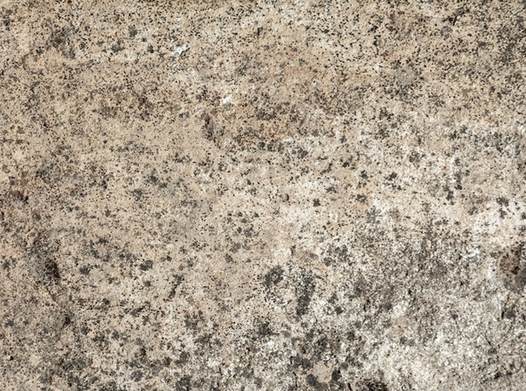 Does Vinegar Kill Mold On Concrete