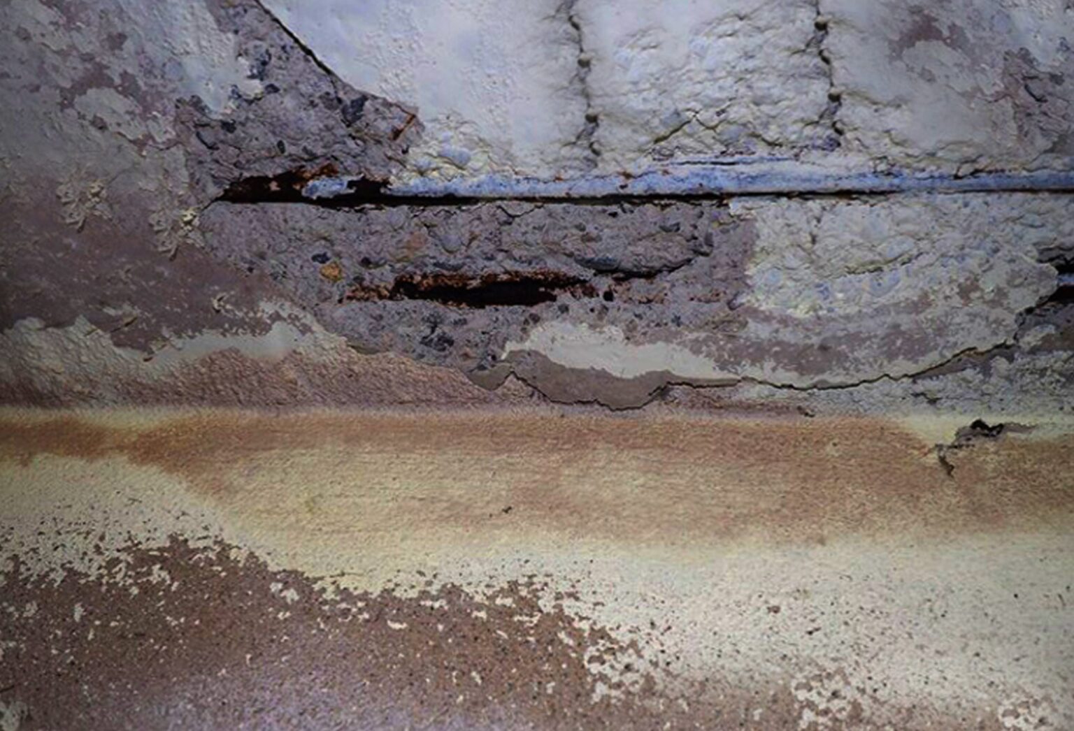 How To Detect Mold Inside The Walls? Five Boro Mold Specialist