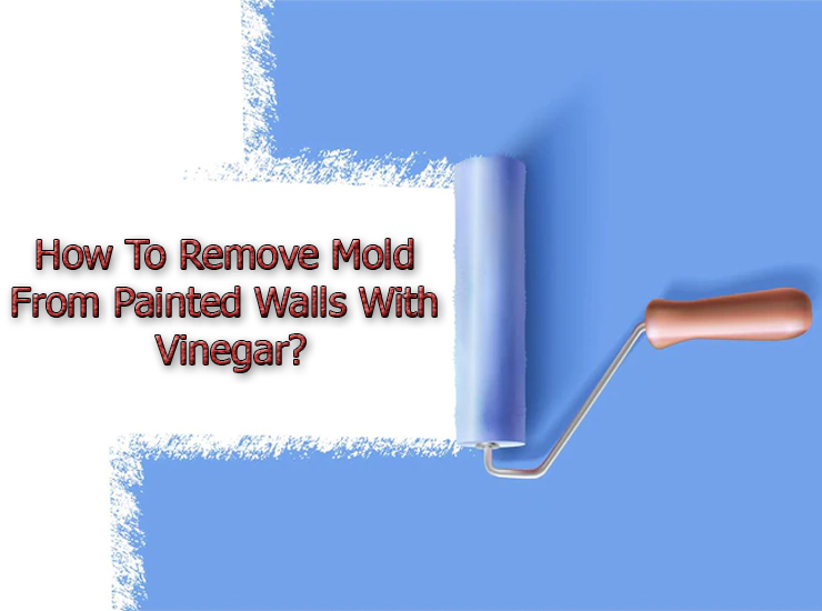 How To Remove Mold From Painted Walls With Vinegar?